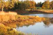 Slideshow 2
